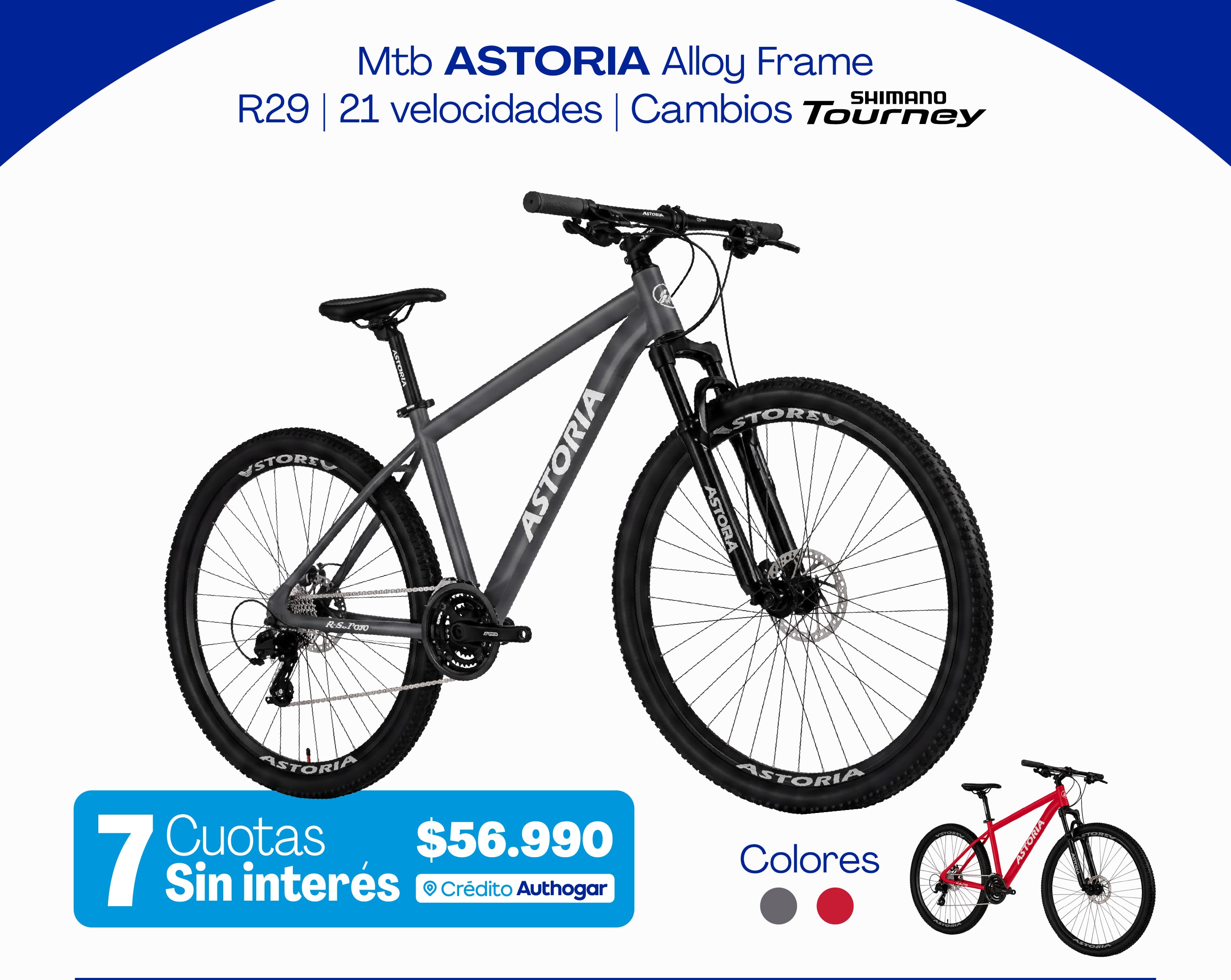 Mtb ASTORIA Alloy Frame R29 | 21 velocidades | Cambios Shimano Tourney 7 Cuotas Sin interés $56.990 a Crédito Authogar Colores
